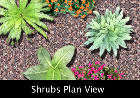 Top view shrubs and plants
