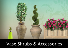 Vase and shrubs elevation view